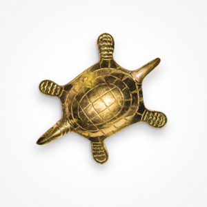 vastu turtle