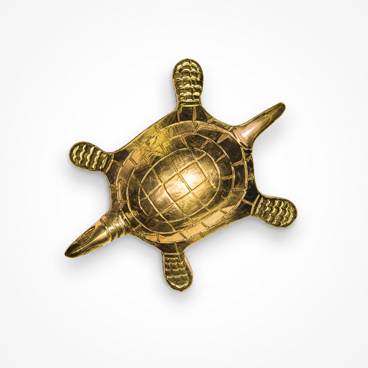 vastu turtle