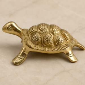 vasttu turtle