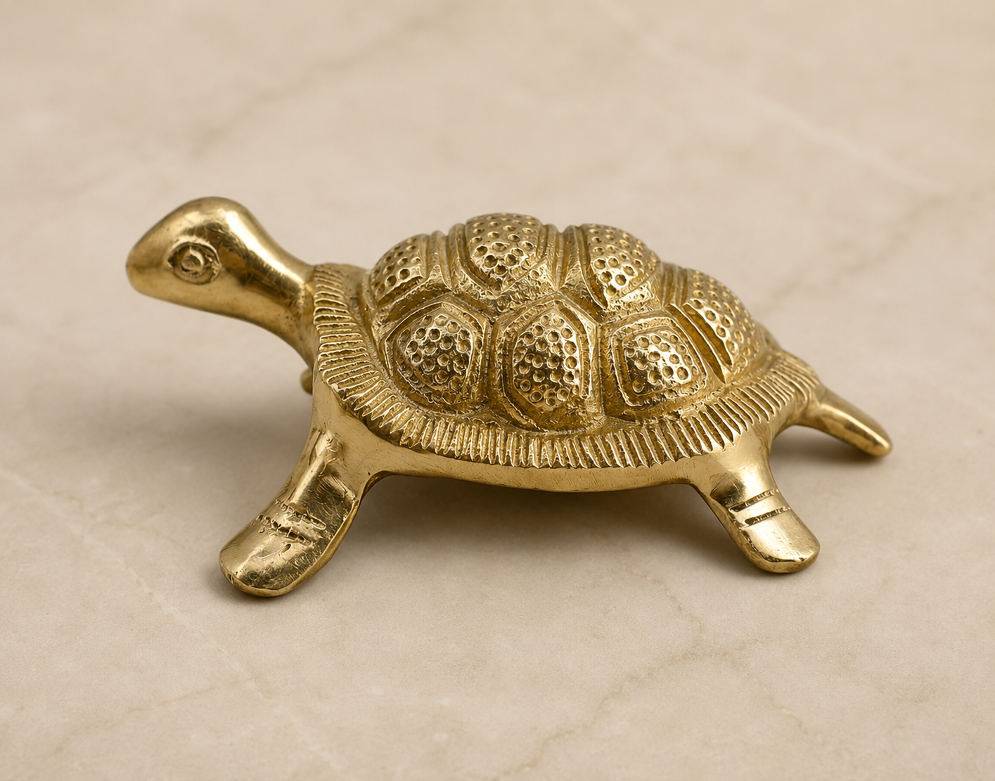 vasttu turtle