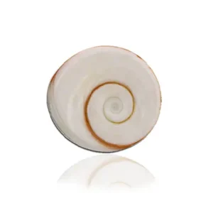 Gomti Chakra vastu