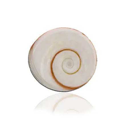 Gomti Chakra vastu