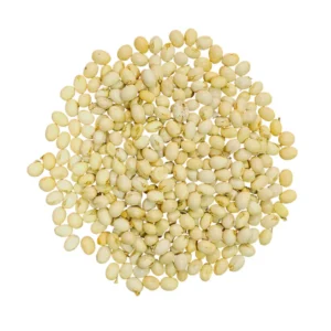 white gumchi