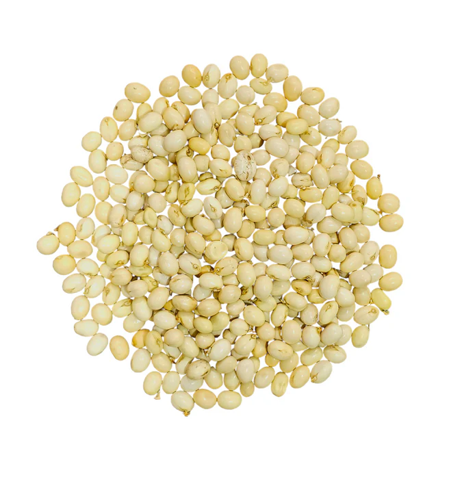 white gumchi
