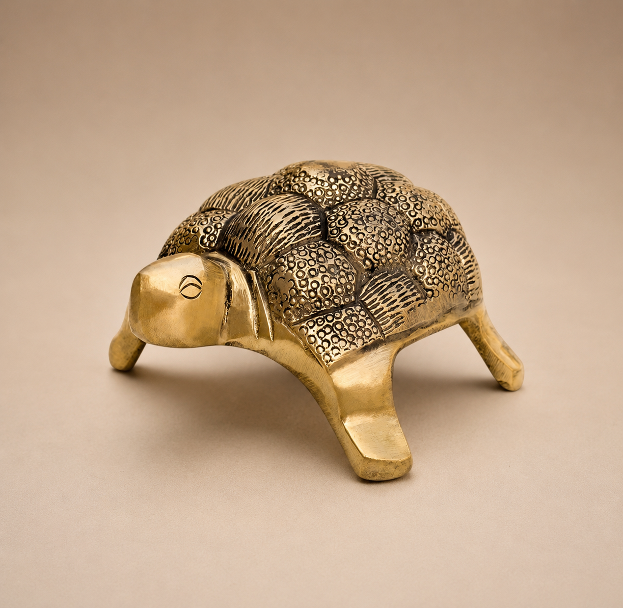 vastu turtle