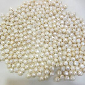 Vastu Pearl